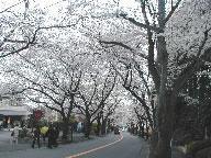 伊東市伊豆急伊豆高原地区の写真(1) 伊東市伊豆急伊豆高原地区の写真(1)