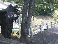 伊東市海峰苑の写真(4) 伊東市海峰苑の写真(4)