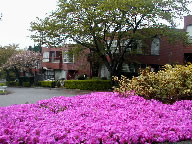 函南町パースIの写真(1) 函南町パースIの写真(1)