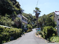 南伊豆町湯之元リゾートハイツの写真(1) 南伊豆町湯之元リゾートハイツの写真(1)
